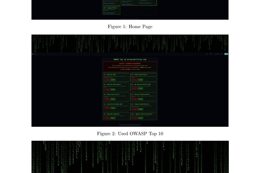 BuggedCart Web Security