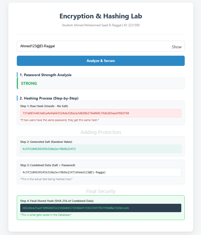 Password Analyzer & Secure Storage